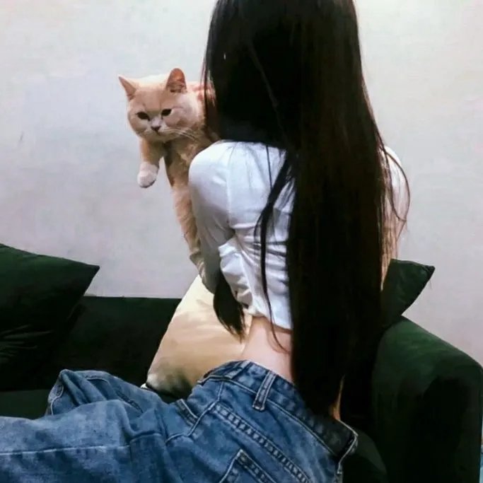 特务行不行